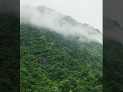 سیستم بدون سرنشین DJI FC30 FlyCart 30 تولید شده توسط MYUAV